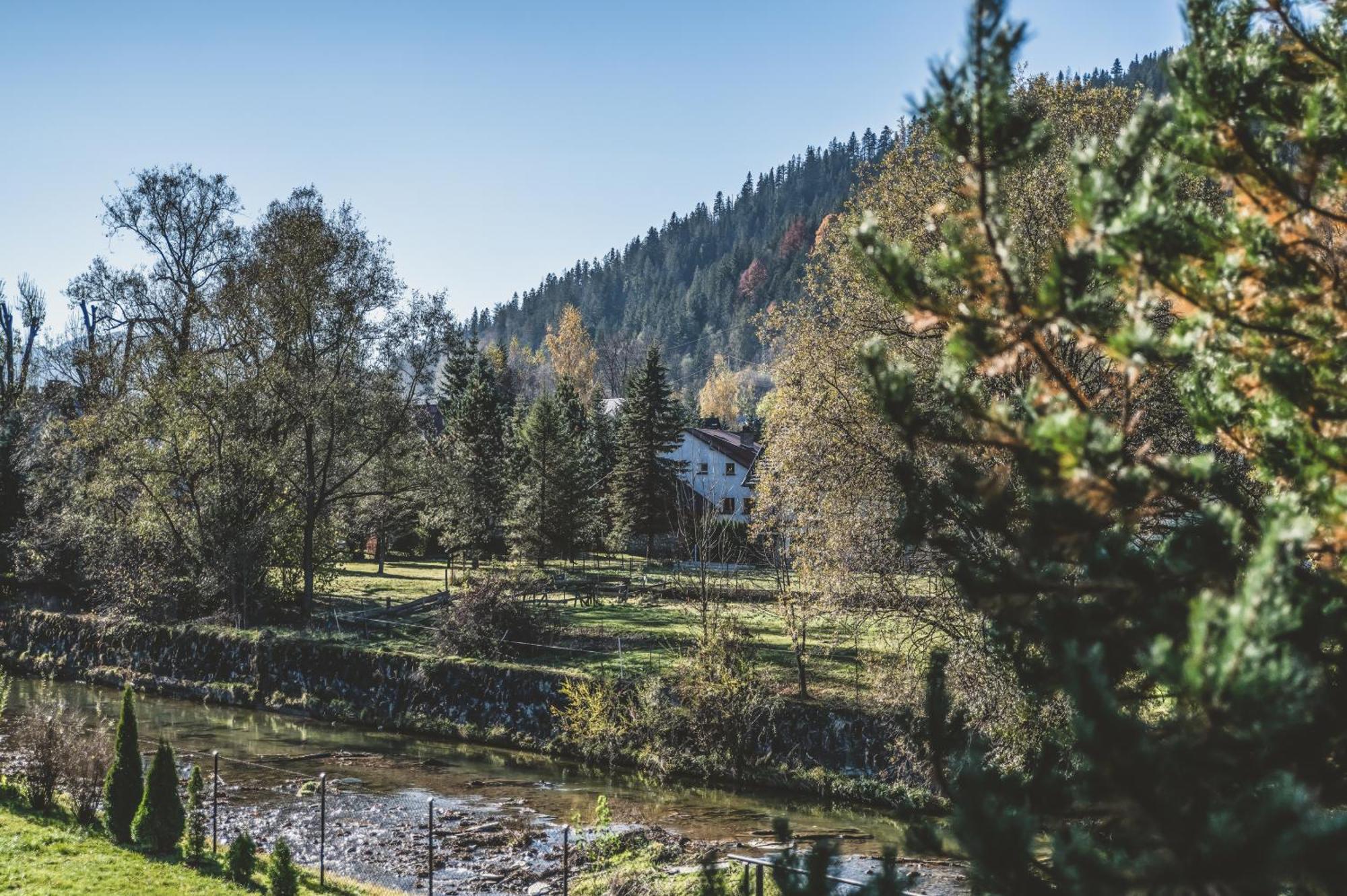 Pokoje Goscinne Na Stromej Zakopane Dış mekan fotoğraf